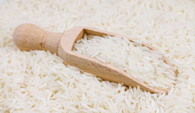 Giá lúa gạo hôm nay 12/6/2023: Tiếp tục ổn định trong ngày đầu tuần