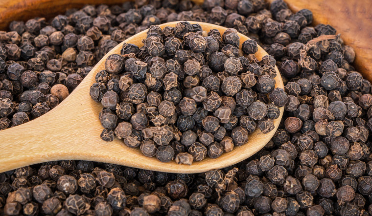 Giá tiêu hôm nay 16/6/2023: Chững lại và đi ngang