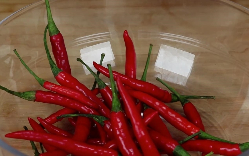 Giá ớt hôm nay 16/06 cập nhật mới nhất Giá ớt hôm nay 16/06 cập nhật mới nhất