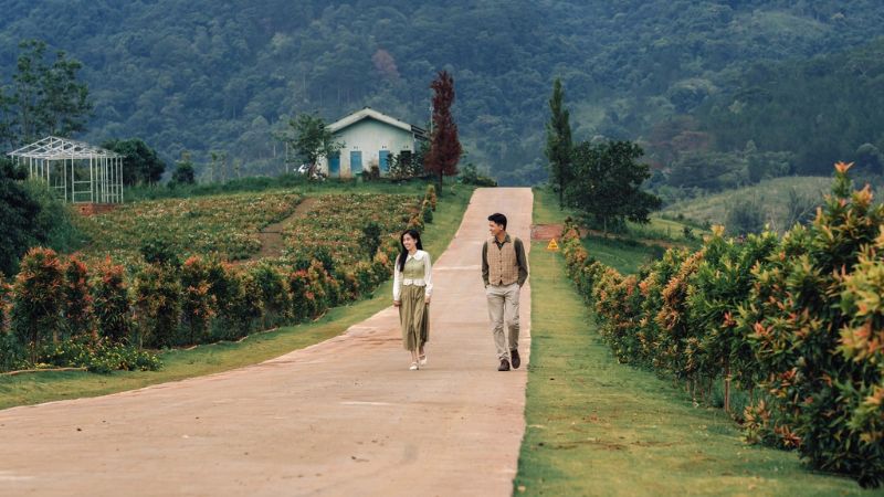 Coordinates of the most romantic flower road in Da Lat, young people compete to check in