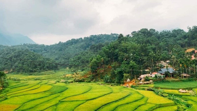 Khu bảo tồn thiên nhiên Pù Hu