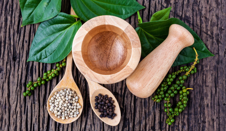 Giá tiêu hôm nay 19/6/2023: Giữ nguyên so với hôm qua