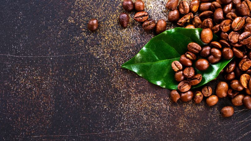 Giá cà phê trong nước hôm nay Giá cà phê trong nước hôm nay