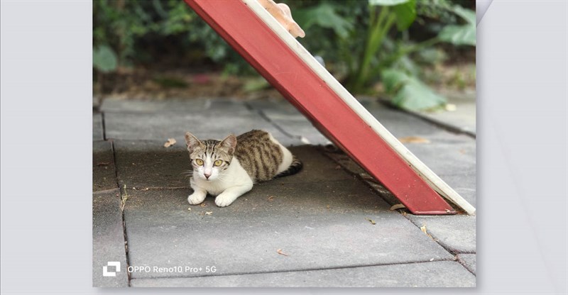 Đánh giá OPPO Reno10 Pro+ Đánh giá OPPO Reno10 Pro+