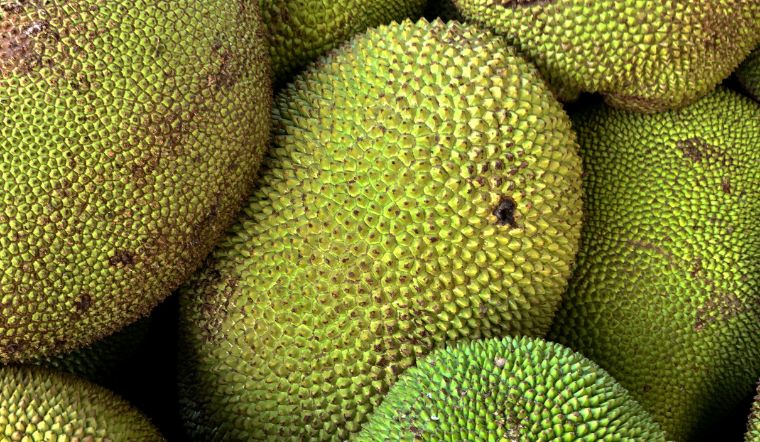 Giá mít Thái hôm nay 20/6/2023: Tiếp tục ổn định