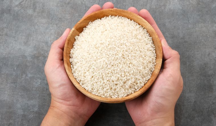 Giá lúa gạo hôm nay 21/6/2023: Vài giống lúa có điều chỉnh