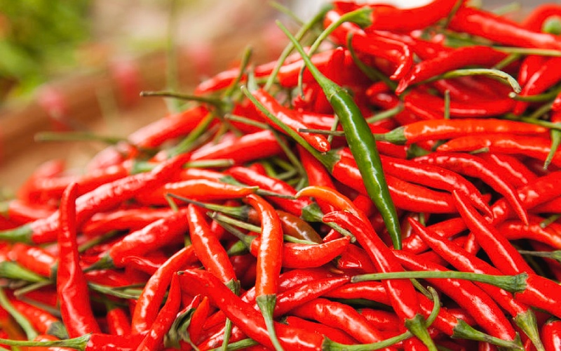 Giá ớt hôm nay 21/06