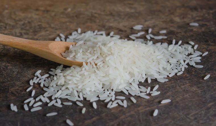 Giá lúa gạo hôm nay 22/6/2023: Không thay đổi