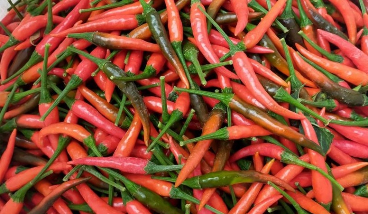 Giá ớt hôm nay 23/06/2023: Tạm thời giữ nguyên như hôm qua