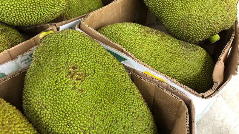 Giá mít Thái hôm nay 23/6/2023