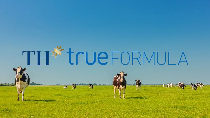 TH True FORMULA – nutritious milk good for children’s brain