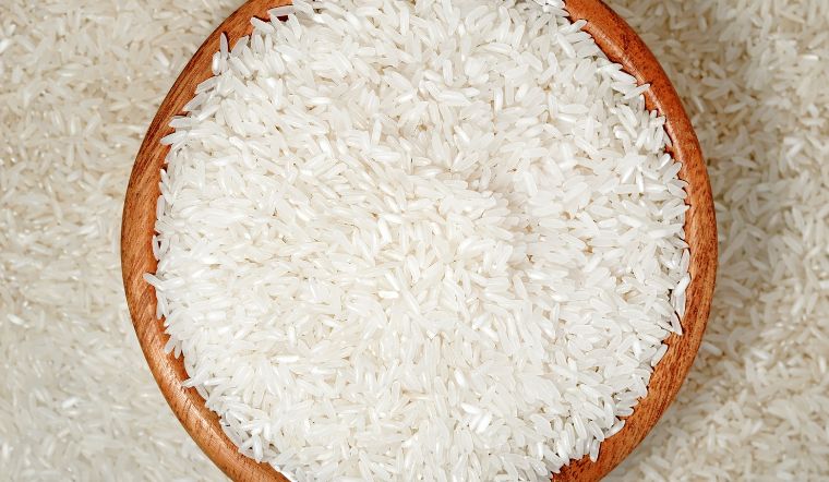 Giá lúa gạo hôm nay 26/6/2023: Giảm giá ở nhiều giống lúa