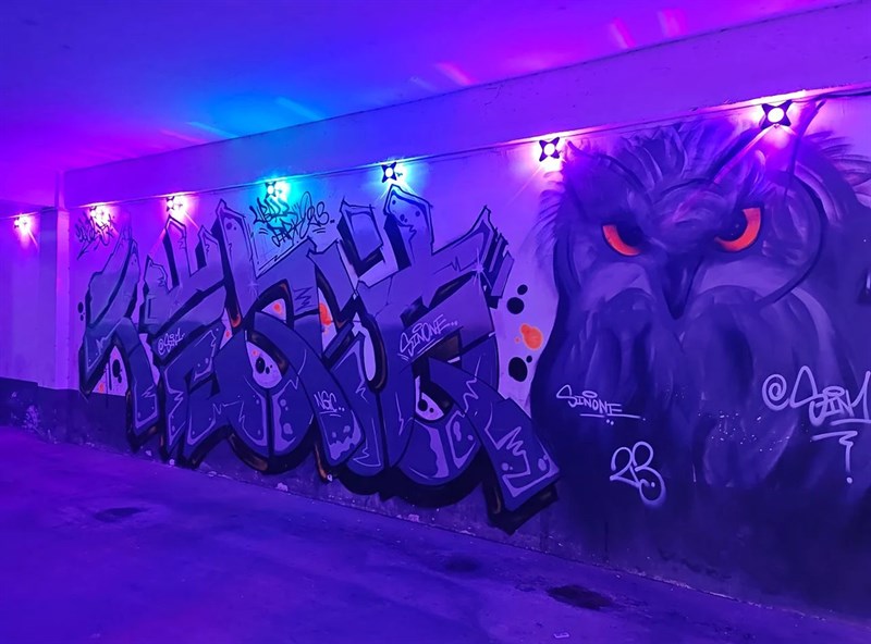 Ảnh chụp từ vivo X Fold 2.