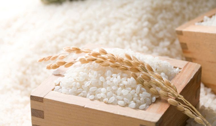 Giá lúa gạo hôm nay 29/6/2023: Tiếp tục duy trì ổn định