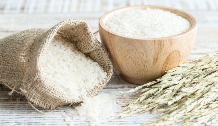 Giá lúa gạo hôm nay 30/6/2023: Tăng 100 đồng/kg ở vài giống lúa