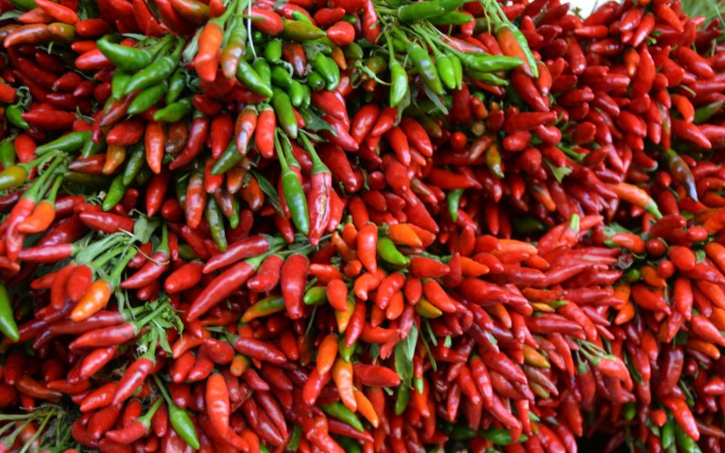 Giá ớt hôm nay 01/07 cập nhật mới nhất