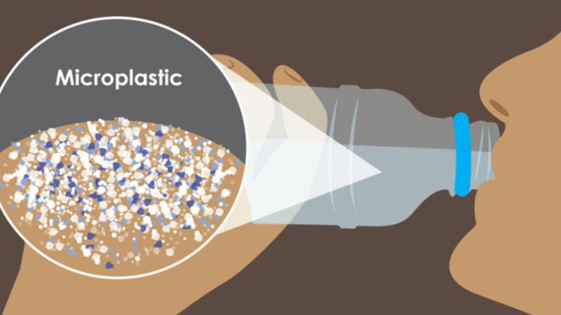 Hạt vi nhựa có thể được tìm thấy trong nhiều môi trường và thực phẩm khác nhau