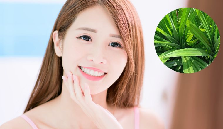 Mách bạn cách dưỡng da sáng, tóc mượt từ lá dứa