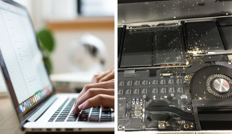 Mẹo xử lý kiến vào laptop nhanh chóng, hạn chế hỏng máy