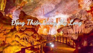 Review Động Thiên Cung, Quảng Ninh - thiên cung kỳ ảo, đẹp nhất vịnh Hạ Long