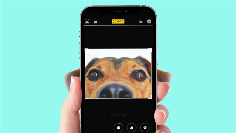 Cách dùng tính năng tự động xoay và crop ảnh trên iOS 17