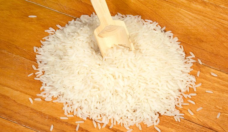 Giá lúa gạo hôm nay 07/7/2023: Lúa IR 50404 giảm 100 đồng/kg