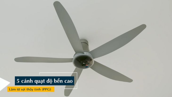 5 cánh quạt với chất liệu sợi thuỷ tinh