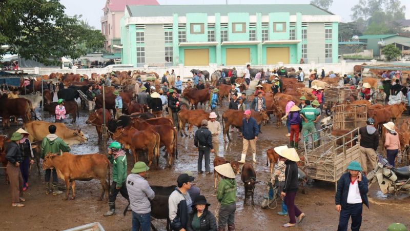 Phiên chợ Trâu Bò (Chợ Ú)