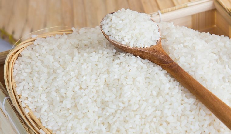 Giá lúa gạo hôm nay 10/7/2023: Nhiều giống lúa, nếp thay đổi