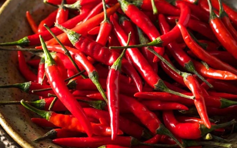 Giá ớt hôm nay 12/07