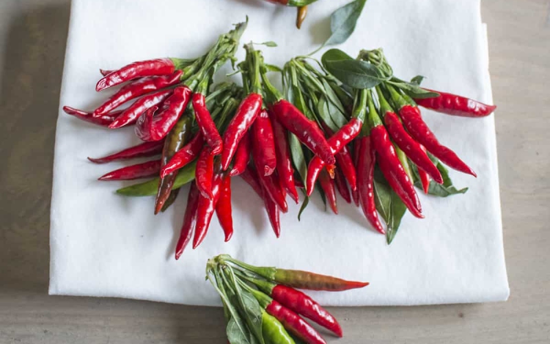 Giá ớt hôm nay 12/07 cập nhật mới nhất