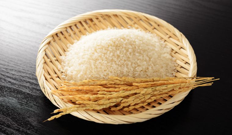 Giá lúa gạo hôm nay 13/7/2023: Ghi nhận nhiều thay đổi mới