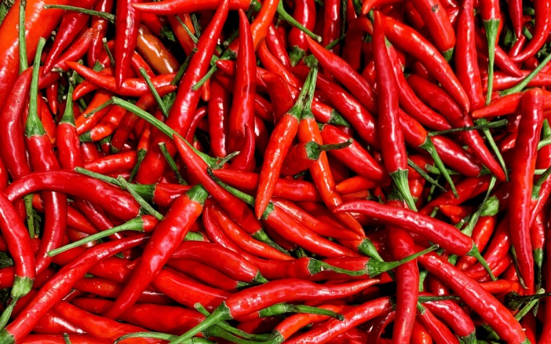 Giá ớt hôm nay 13/07 cập nhật mới nhất