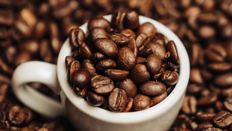 Giá cà phê trong nước hôm nay Giá cà phê trong nước hôm nay