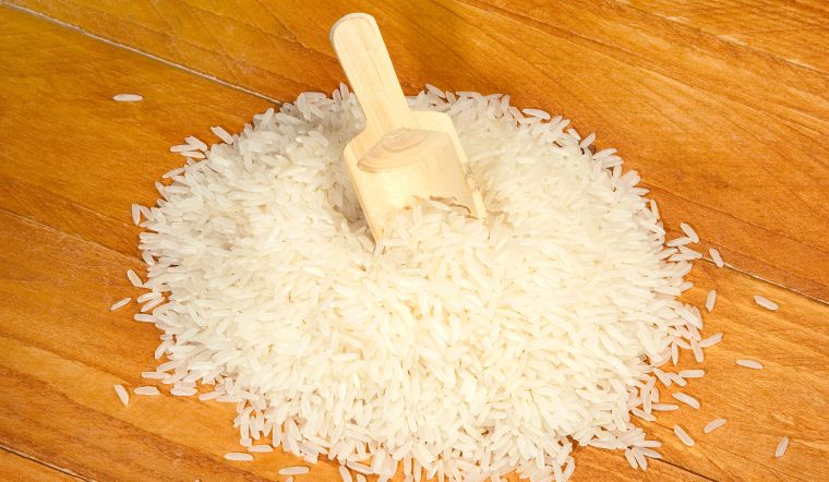 Giá lúa gạo hôm nay 14/7/2023: Tăng giá ở nhiều giống lúa