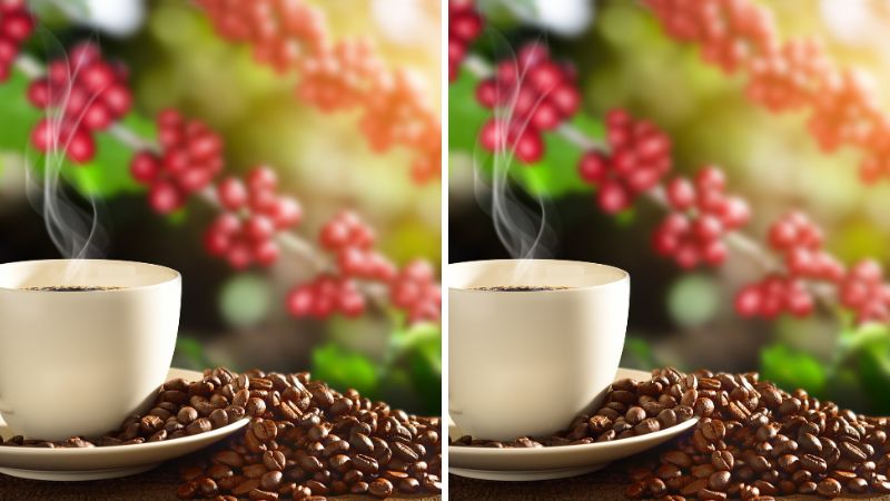 Giá cà phê trong nước hôm nay Giá cà phê trong nước hôm nay