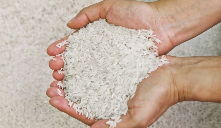 Giá lúa gạo hôm nay 15/7/2023: Chững giá trong ngày cuối tuần