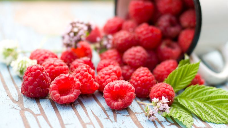 Người suy thận nên dùng mâm xôi