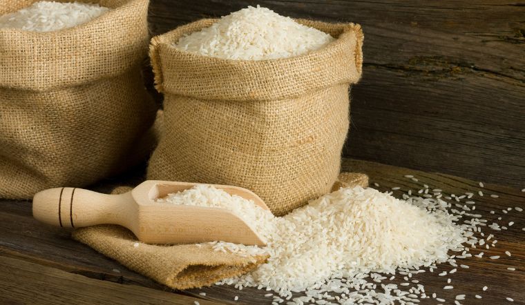 Giá lúa gạo hôm nay 19/7/2023: Một vài giống lúa tăng giảm trái chiều