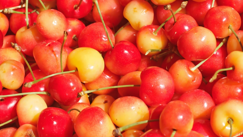 Cherry vàng có chứa nhiều chất dinh dưỡng tốt cho sức khỏe