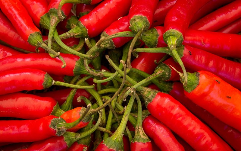 Giá ớt hôm nay 20/07/2023 mới nhất