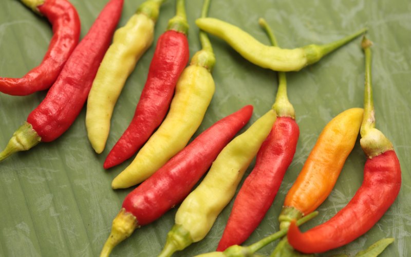 Giá ớt hôm nay 20/07