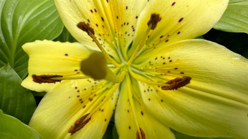 Ảnh chụp từ iPhone 14 Pro Max. Ảnh chụp từ iPhone 14 Pro Max.