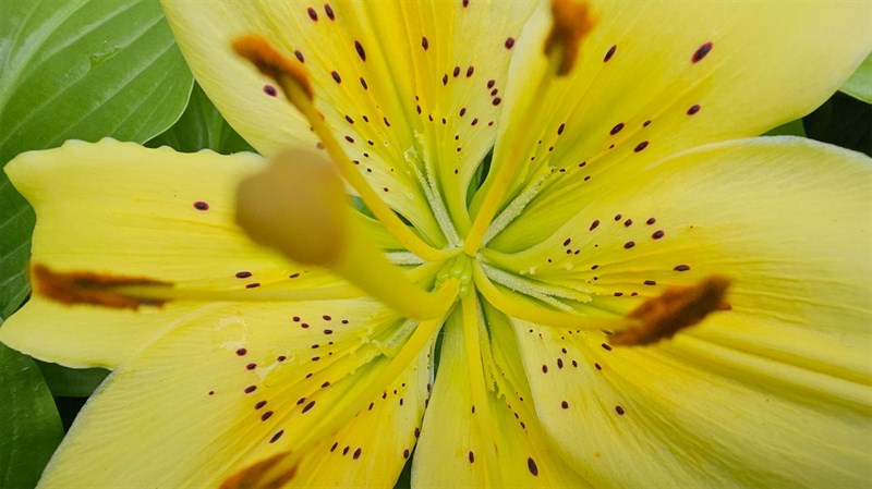 Ảnh chụp từ Galaxy S23 Ultra. Ảnh chụp từ Galaxy S23 Ultra.