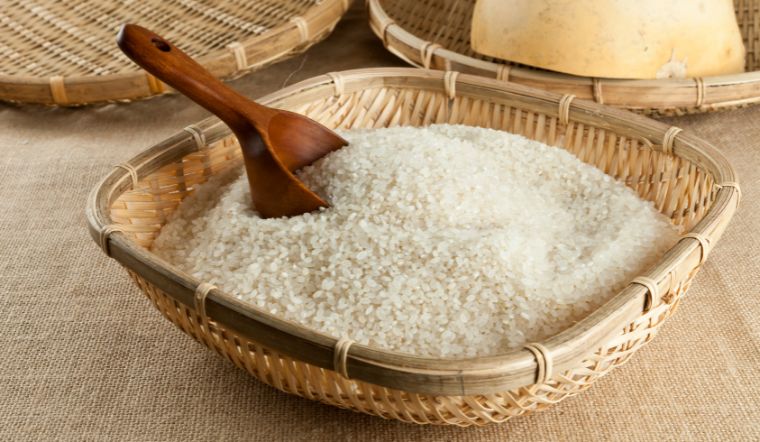 Giá lúa gạo hôm nay 24/7/2023: Biến động ở nhiều giống lúa