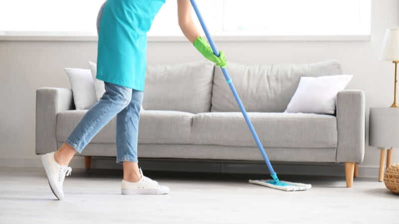 Cách phòng ngừa nhện cắn