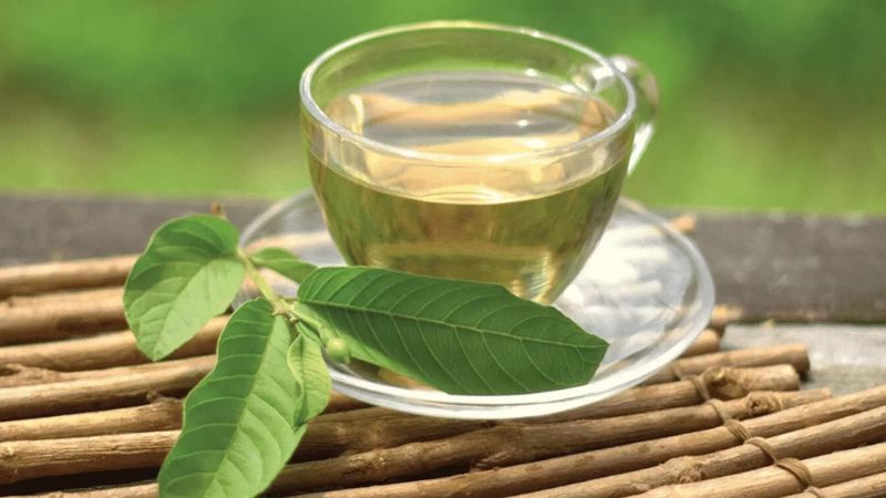 Drink guava leaf tea