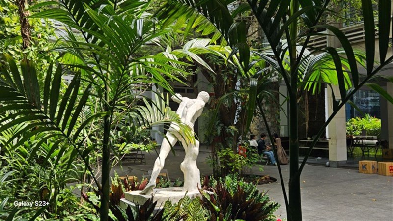 Ảnh chụp từ chiếc điện thoại Galaxy S23+