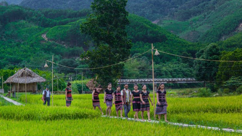 Farmstay Hồng Hạ