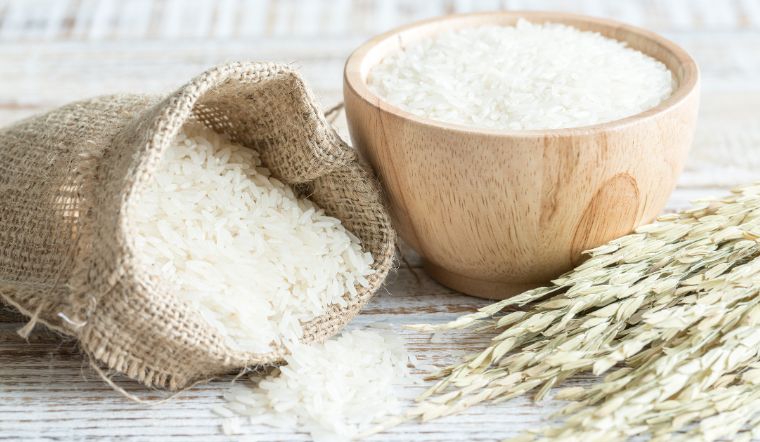 Giá lúa gạo hôm nay 28/7/2023: Lúa Đài thơm 8 giảm 100 đồng/kg